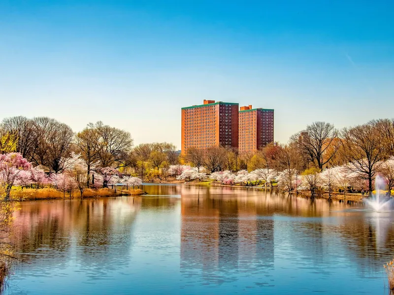 Cherry blossoms and spring trees around the lake in Newark’s Branch Brook Park, with apartment towers behind.
