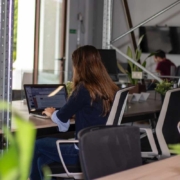 payroll management
